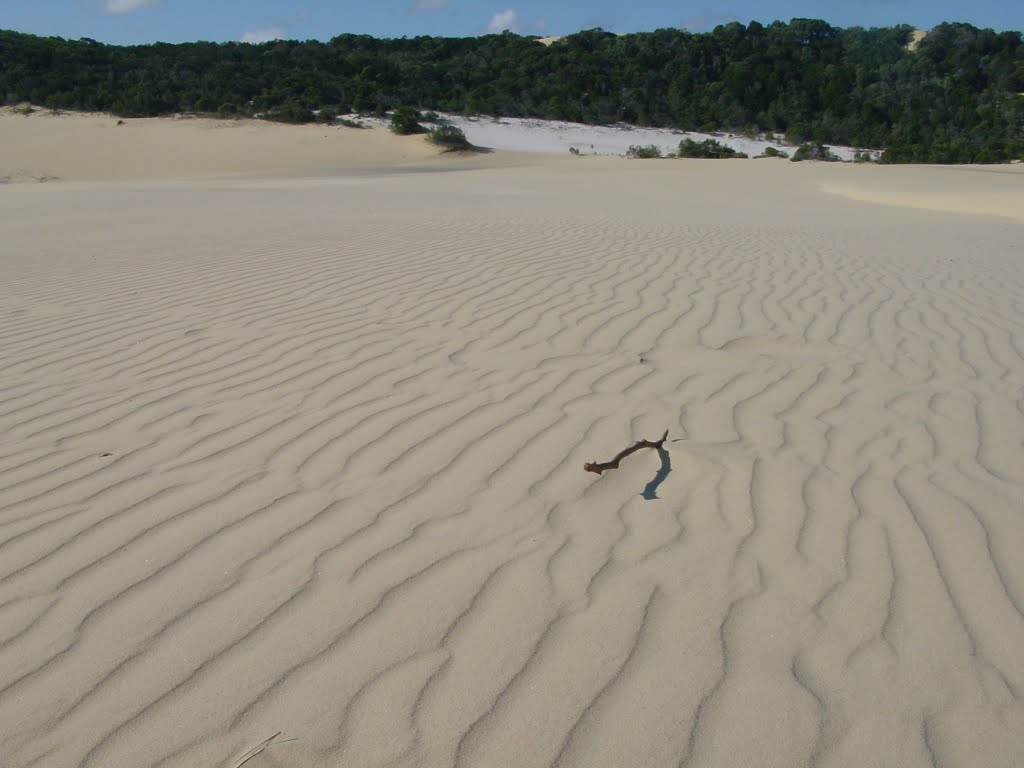 Sand dunes near Lake Wabby by Massimo Bergami