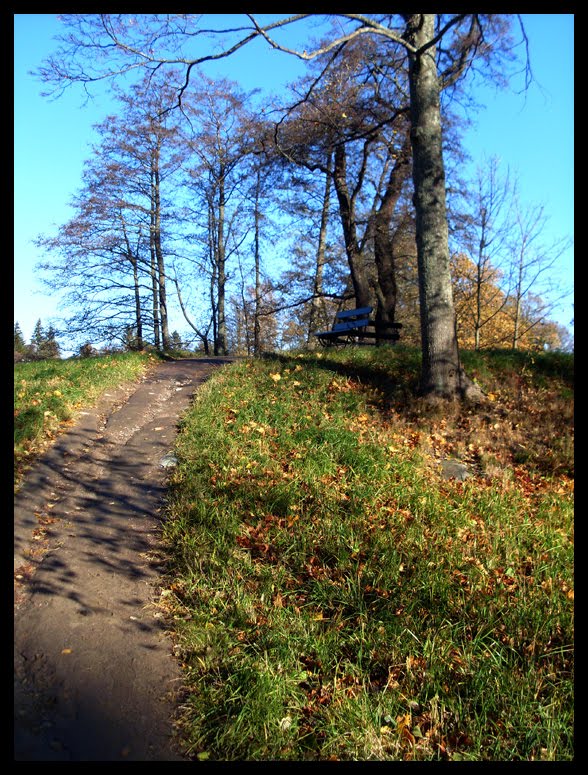 Sunny autumn day in Helsinki. by Mallu Sommar