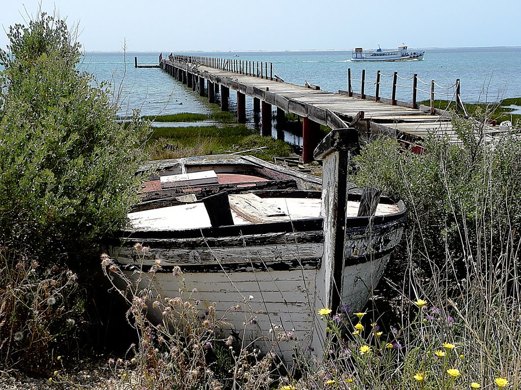 Olhão- Um antigo barco da pesca do atum... by Francisco Bom