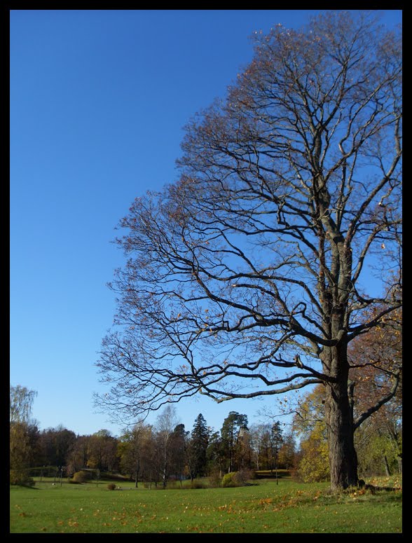 Sunny autumn day in Helsinki. by Mallu Sommar