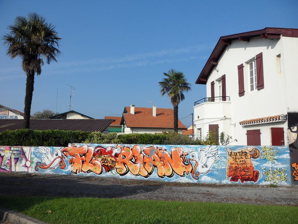 Belle fresque Biarritz Larochefoucaud by david ollagnon