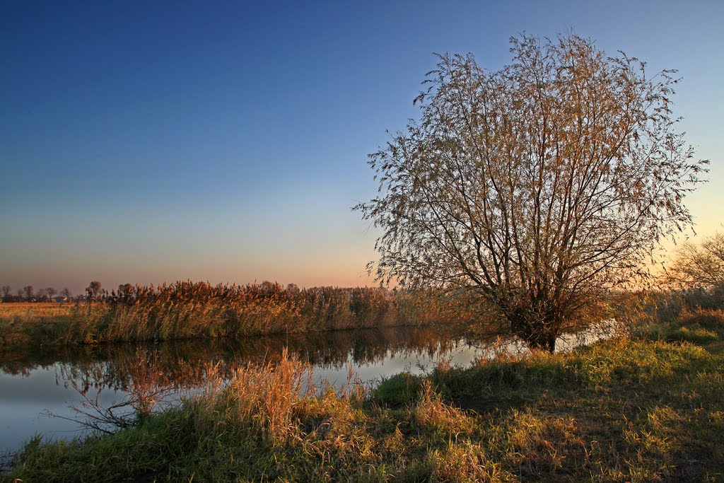 Gmina Brwinów, Poland by jacek d