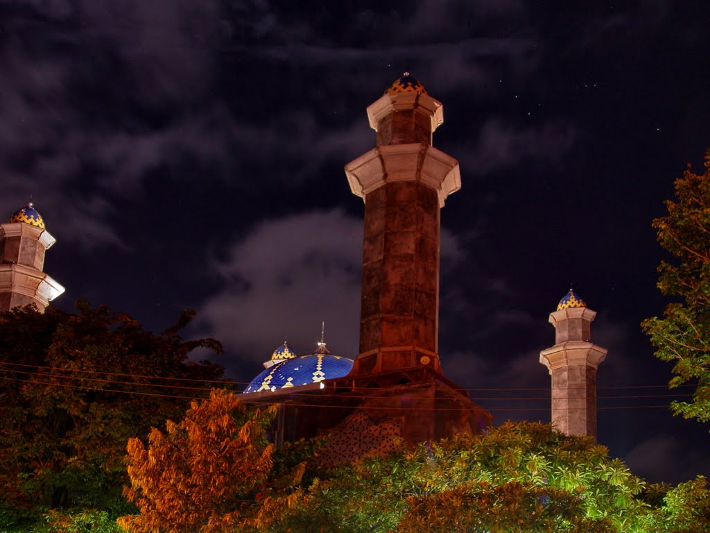 Mosque at night by Jose de Almeida