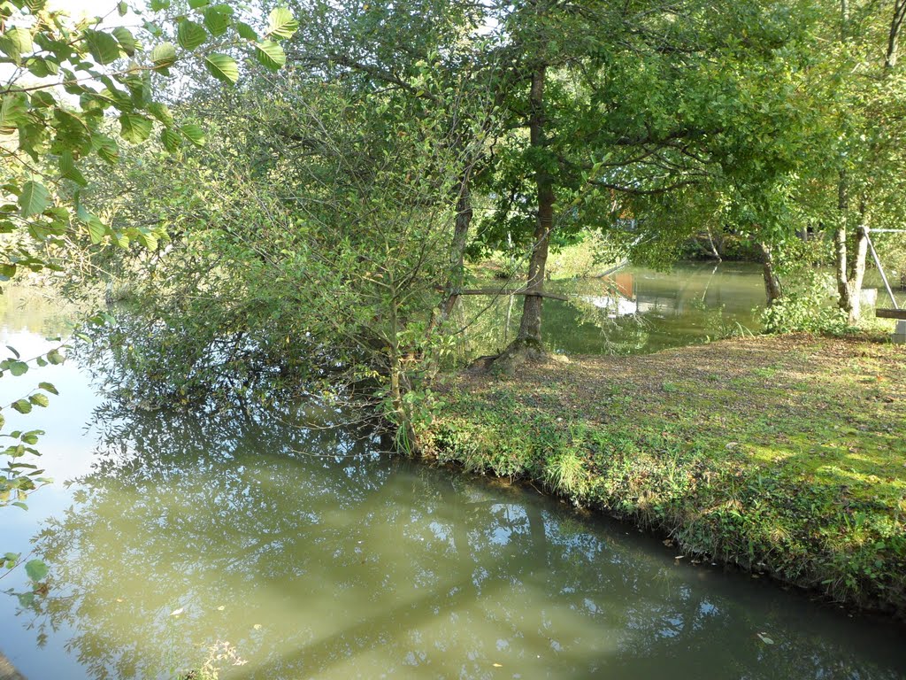 Paysage Tarnos Landes by david ollagnon