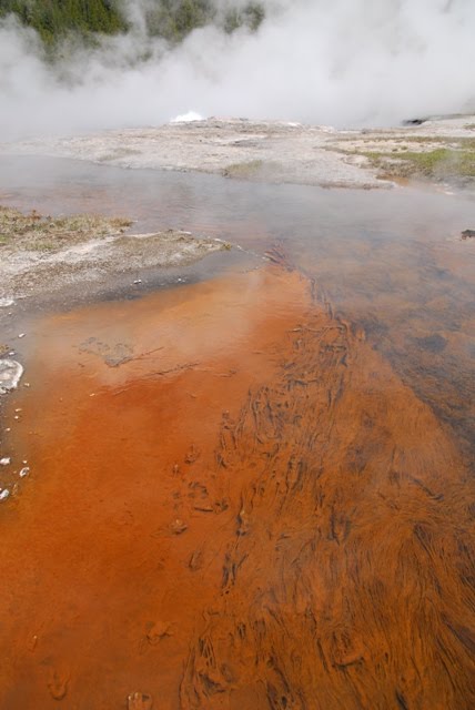 Grand prismatic, Yellowstone National Park, Wyoming by Vincenzo Grande