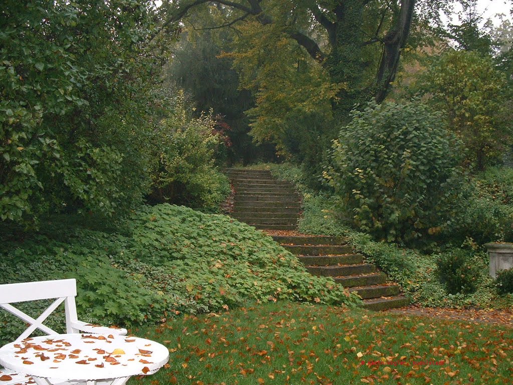 Herbst im Schloßpark Großkochberg by KarinVogler