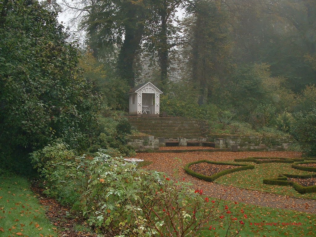 Herbst im Schloßpark Großkochberg 2 by KarinVogler