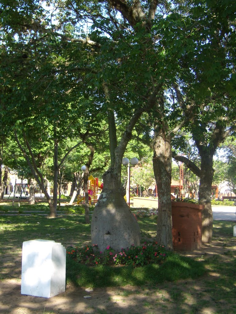 General Paz Department, Corrientes Province, Argentina by Julio Ricardo