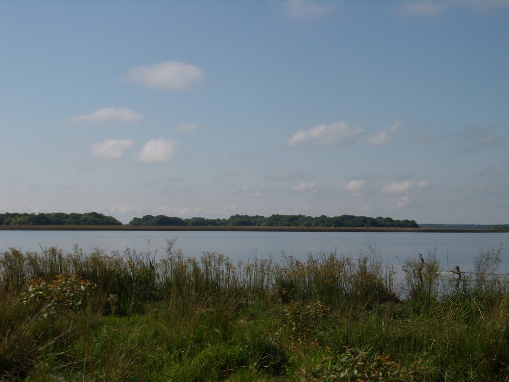 General Paz Department, Corrientes Province, Argentina by Julio Ricardo