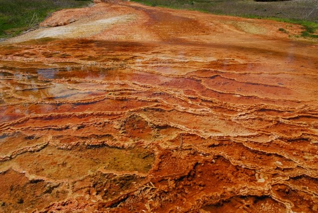 Mammoth hot springs, Yellowstone National Park, Wyoming by Vincenzo Grande