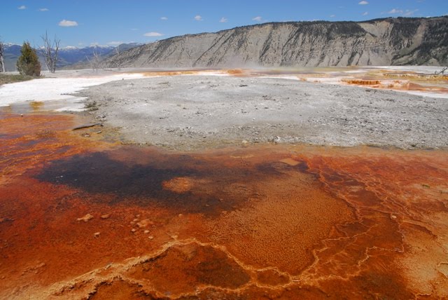 Mammoth hot springs, Yellowstone National Park, Wyoming by Vincenzo Grande