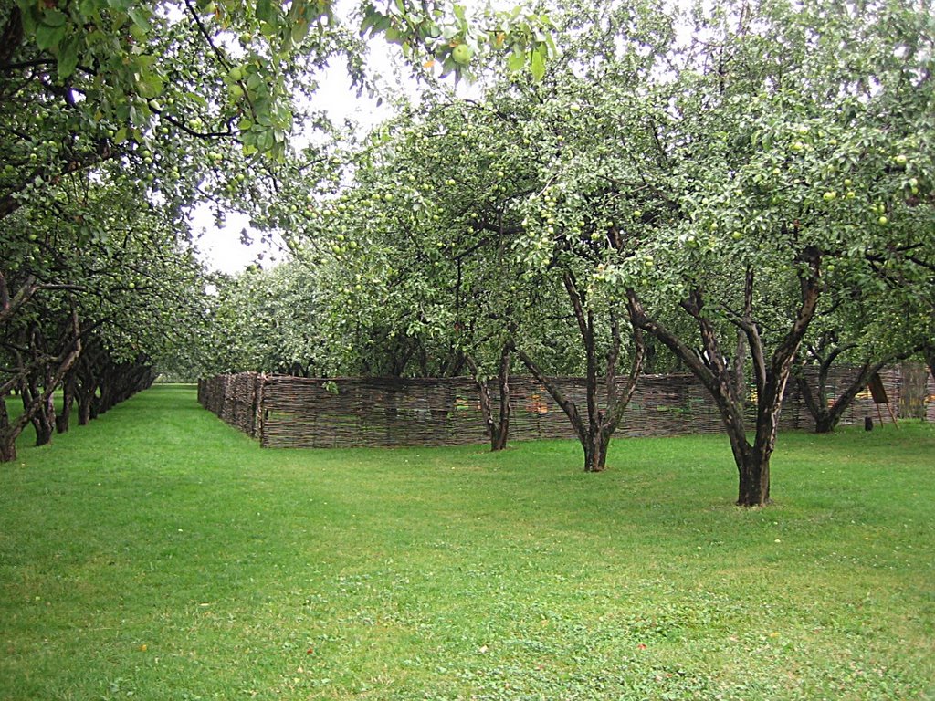 Kolomenskoje Beehives by CarlStaffanHolmer