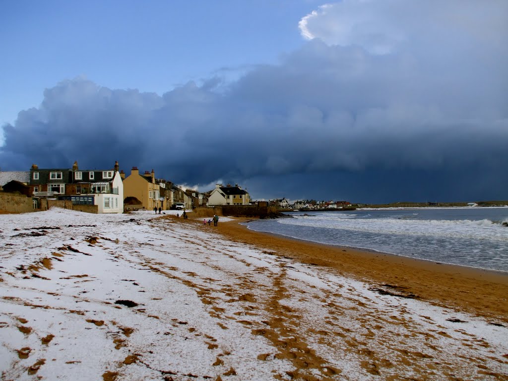 Elie in the Snow by pogomckay