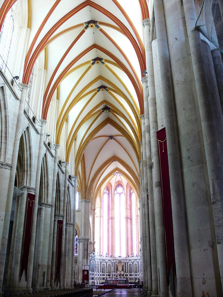 Cathédrale St Etienne - Toul (Meurthe et Moselle) by jasonvy7