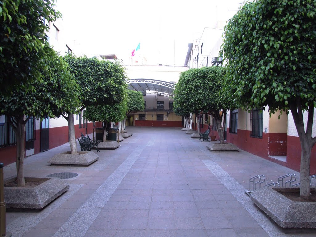 Casa Municipal Calle Patio Trasero by ▓ ☻ galloelprimo ☻ ▓