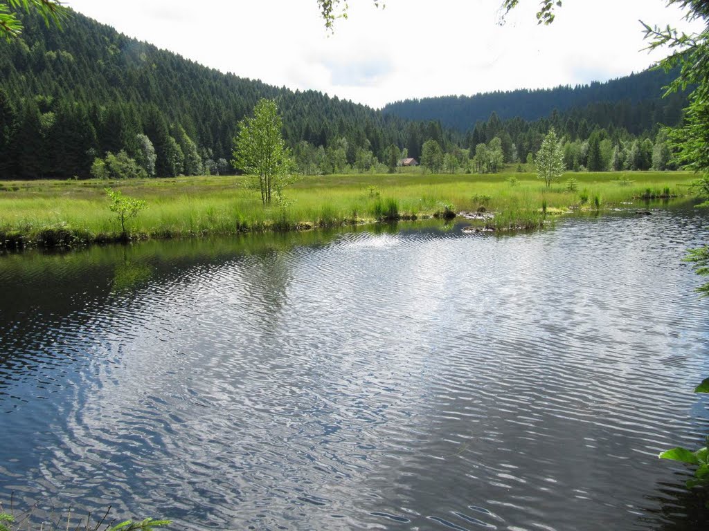 Lac du Lispach, Vosges by Erik B.