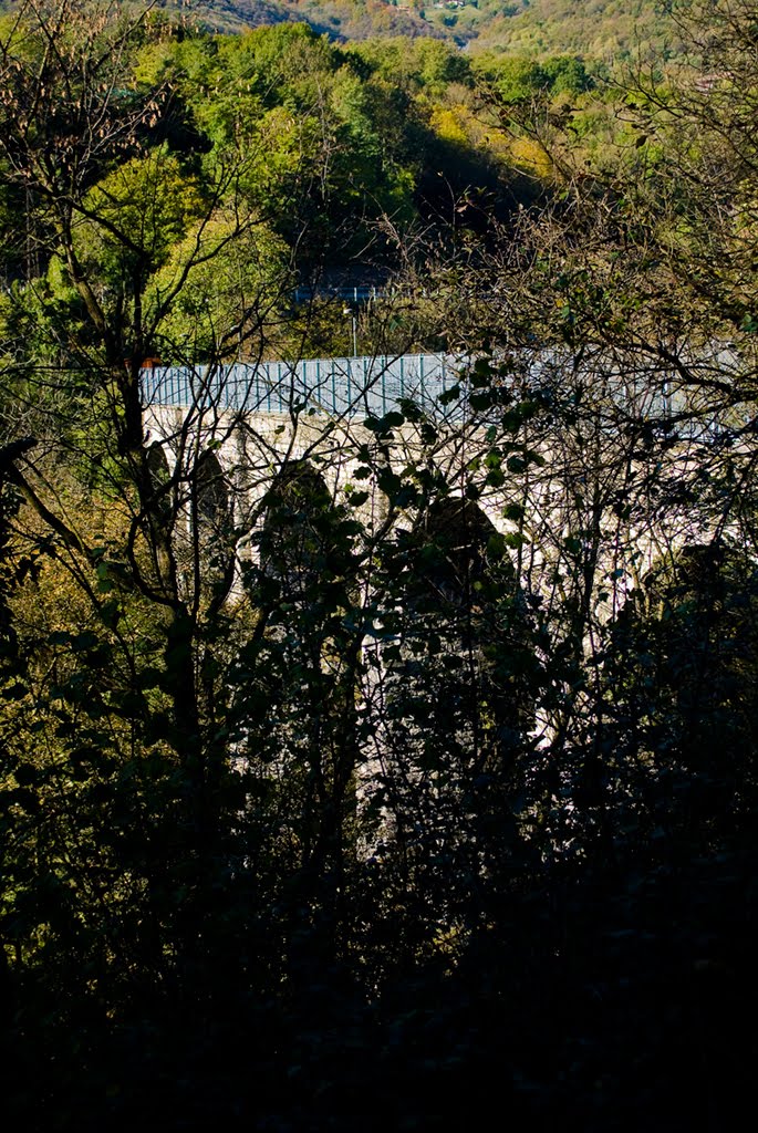 Ponte del Chitò by Filippo Manini