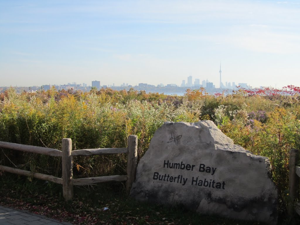 View of Toronto from Humber Bay by JLourenco