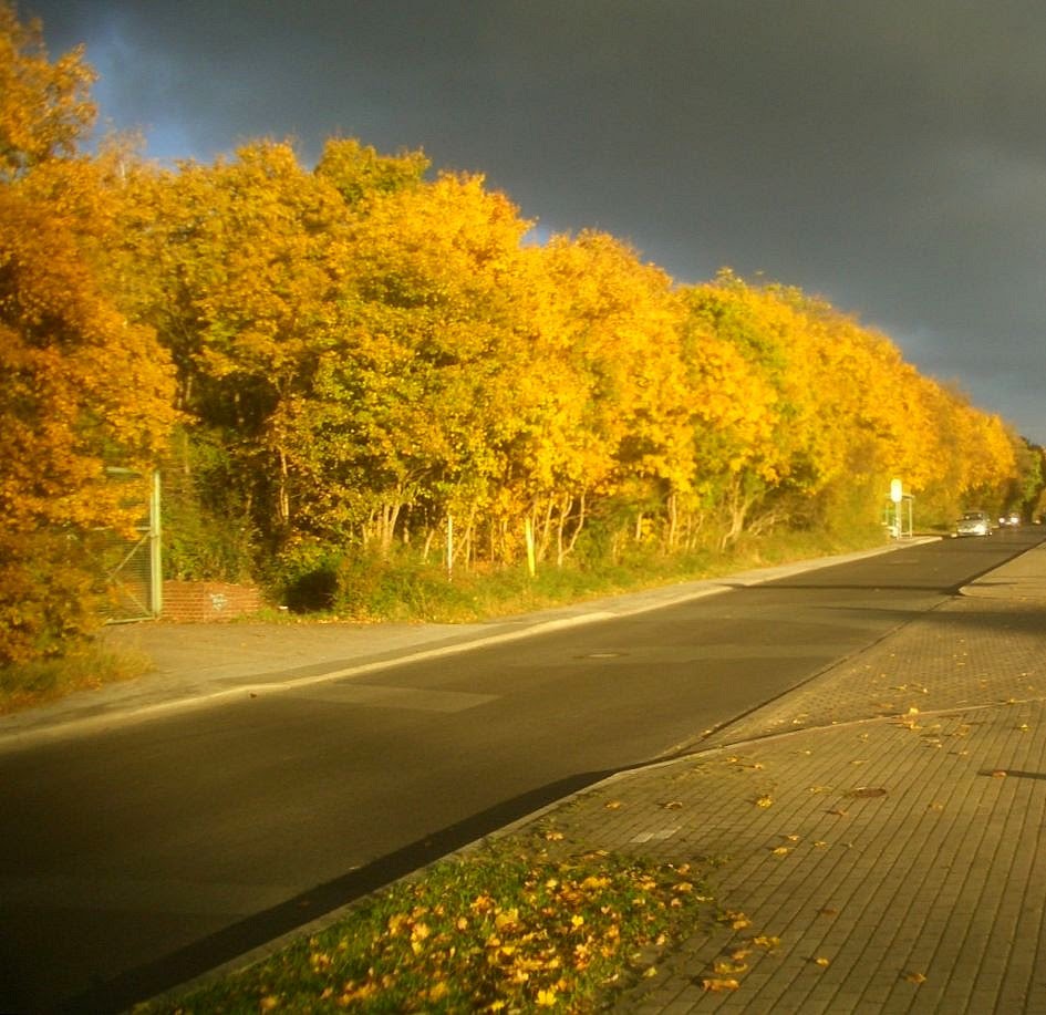 Südstaße im Herbst by Alfons Kortmann