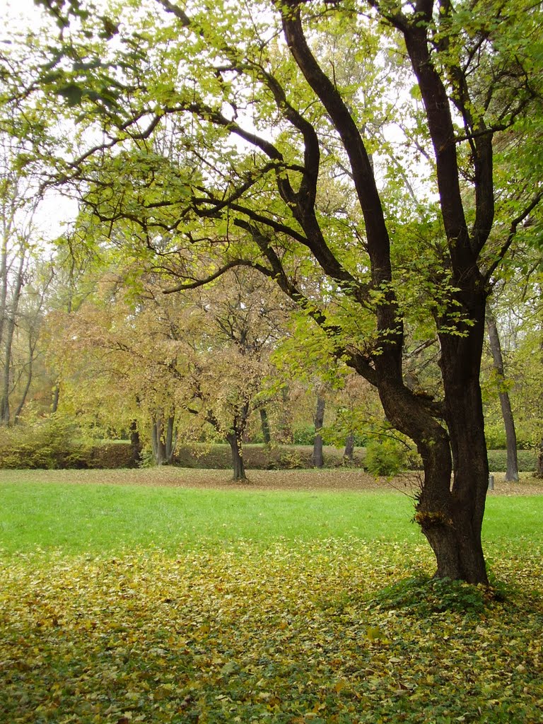 Zámecký park by michalvachek