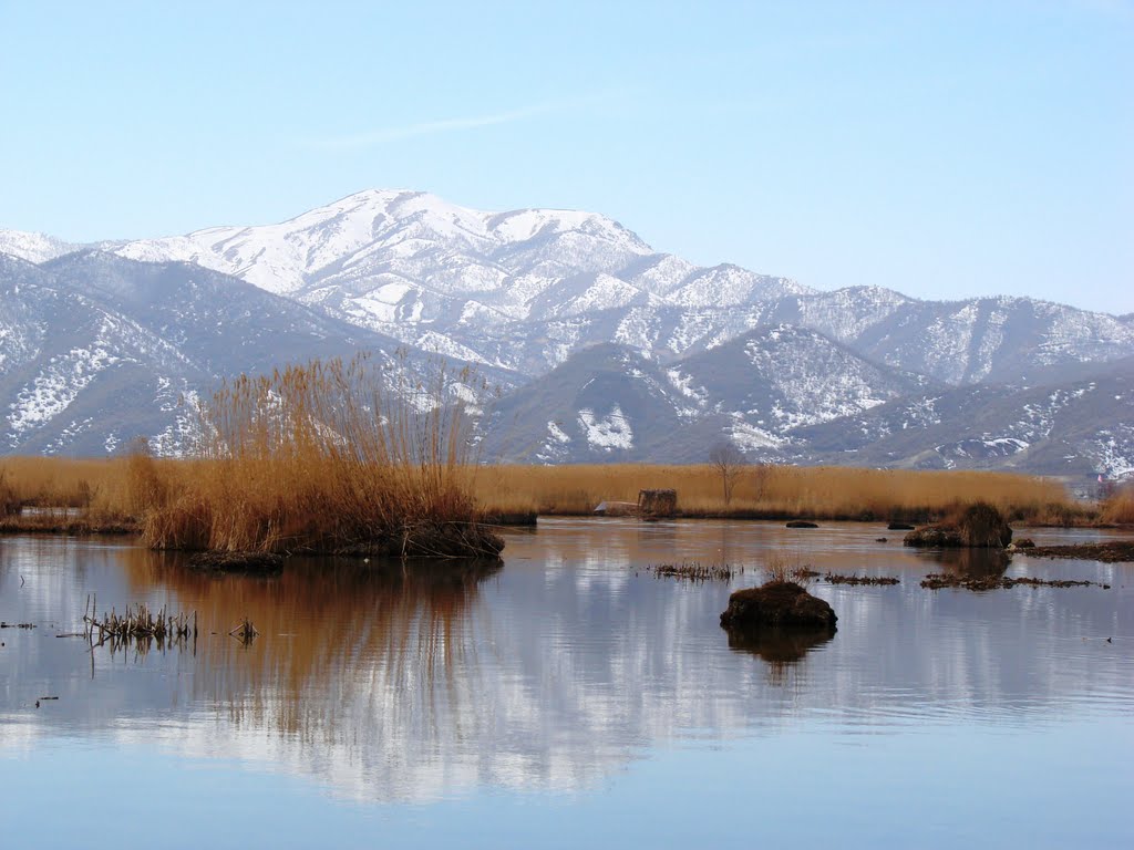 Zarivar wetland marivan pho:Ameryfar by abad