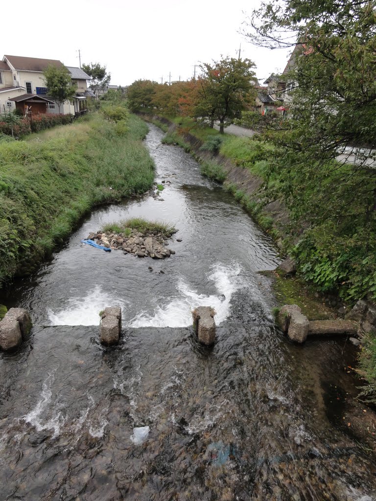 いたち川（山室向陽台） by plannet