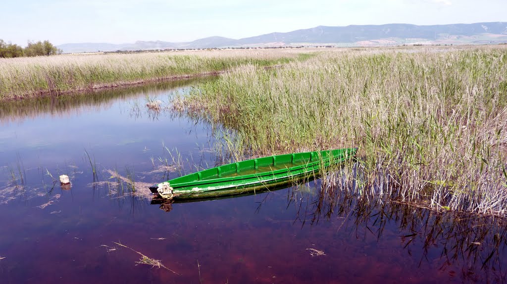 A landscape of "Las Tablas de Daimiel" with an old boat by Spiritualized Kaos