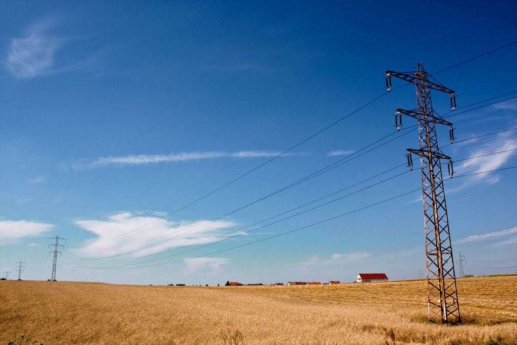 Polish Countryside by Dennis Bevers