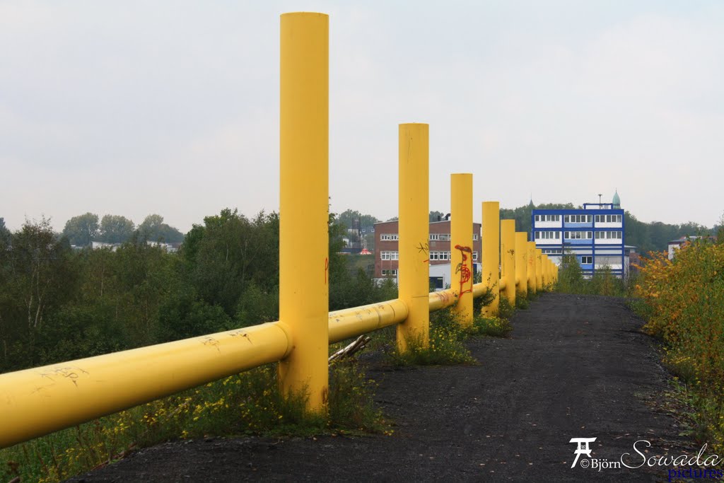 Installation "Übern Ort" auf Halde Lothringen by Björn Sowada