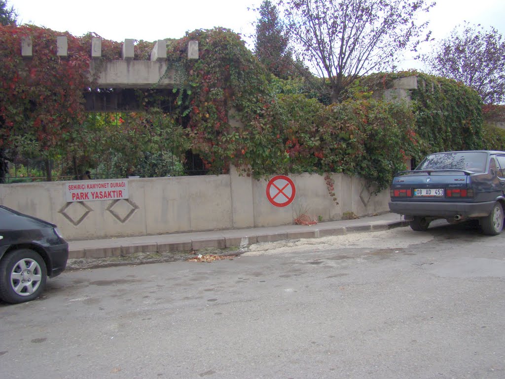 No Parking with Bones left for the Dogs by Sebastian W. Bauer