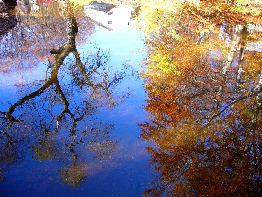 Vitosha Mountain - Water Reflection by Trifon Yankov