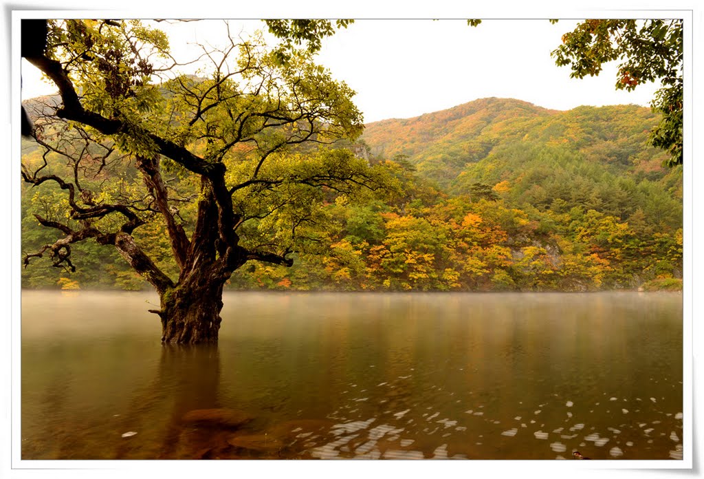 Ijeon-ri, Budong-myeon, Cheongsong-gun, Gyeongsangbuk-do, South Korea by swyang3