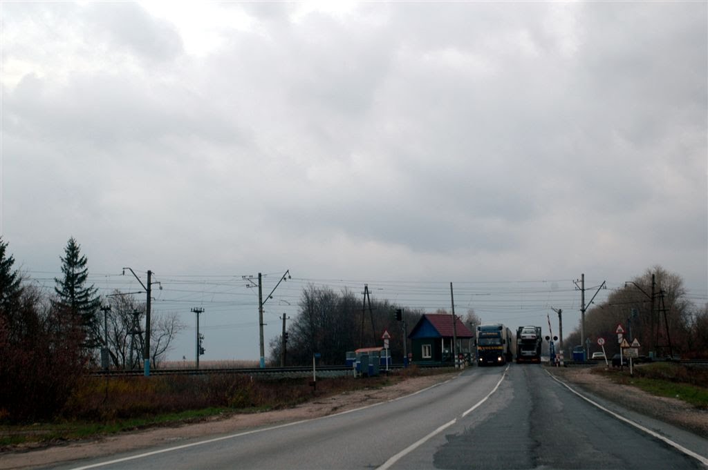 Железнодорожный переезд, Трасса М-5, Горбуновка, Рязанская область by Дмитрий Кошин