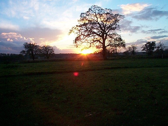 Ellenhall: view from our old conservatory 2 by Sarah Graham