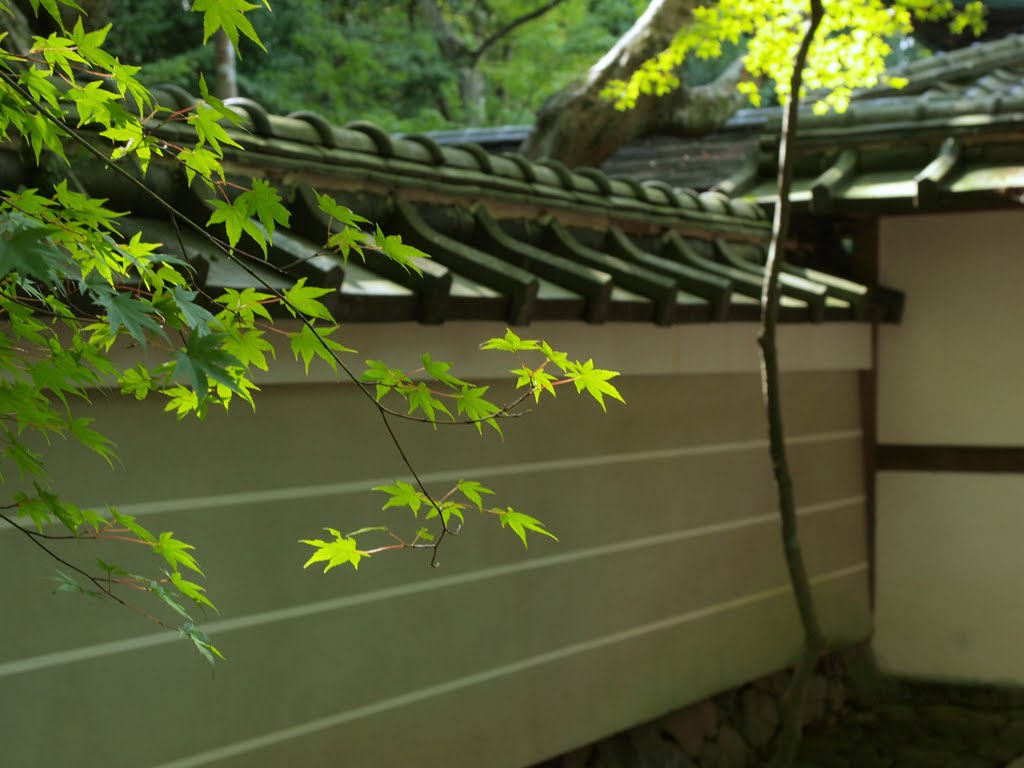 Japan, Kyoto, Koto-in by Jan Astner