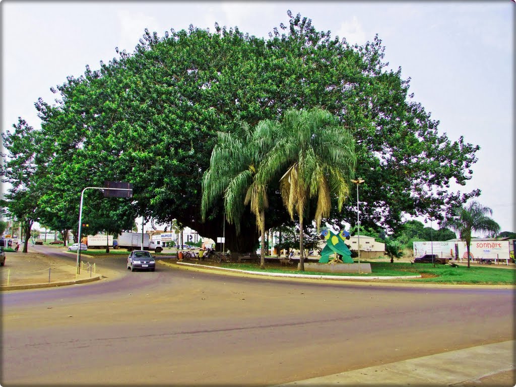 Maracaju -MS - Capital da Linguiça bovina by Edson Walter Cavalari