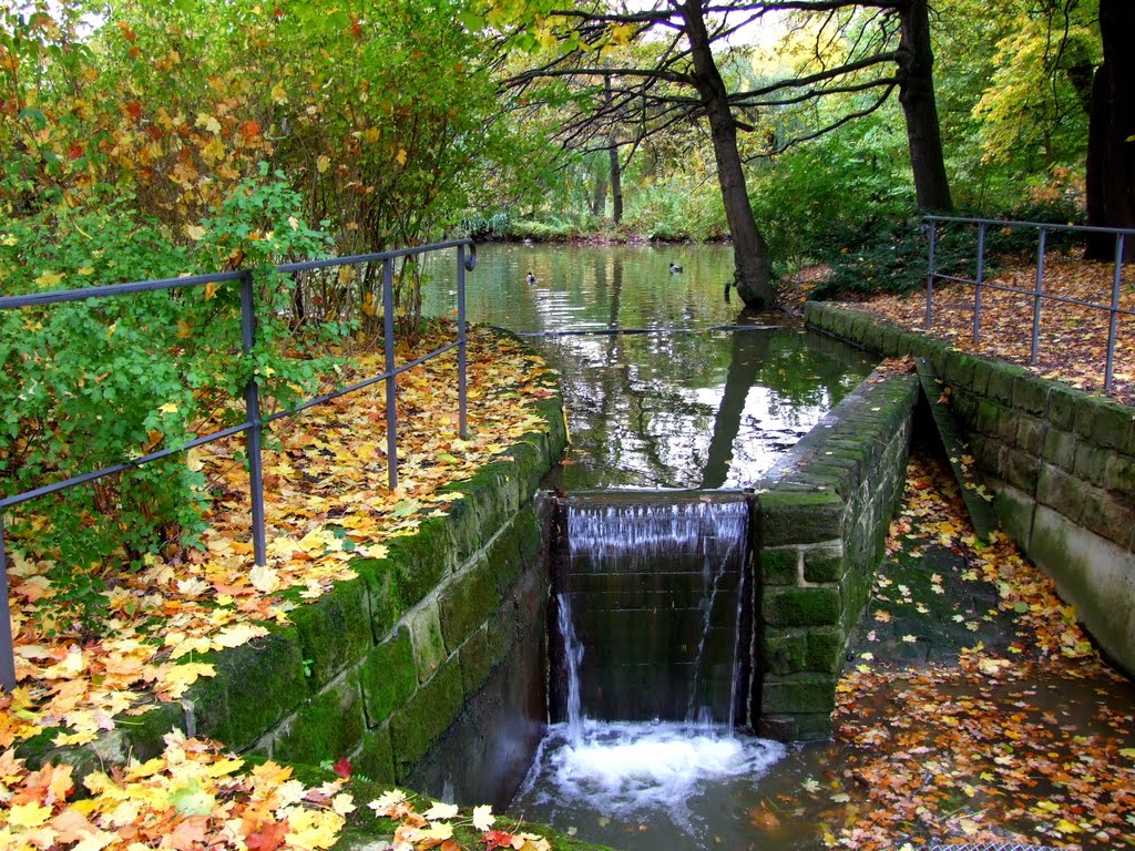 "Großer Garten", Dresden by BodoBonetto