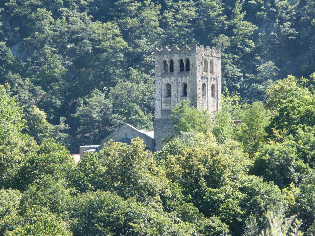 St Martin du Canigou by Gomez_der_pommez