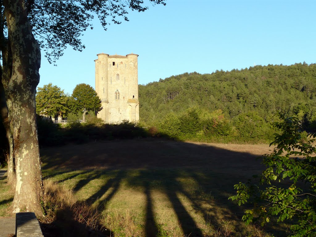 Arques donjon by Dominique MATHIEU