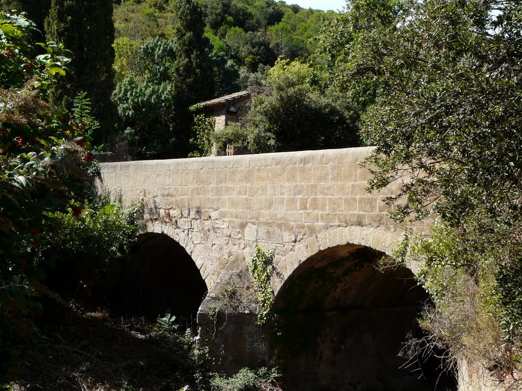 Abbaye de fontfroide by Dominique MATHIEU