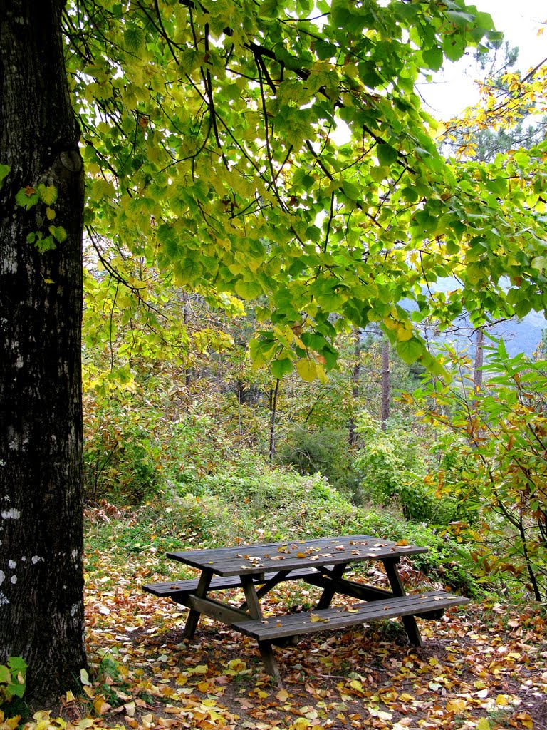 Autumn in Sero' di Zignago La Spezia by Andrea Pogez