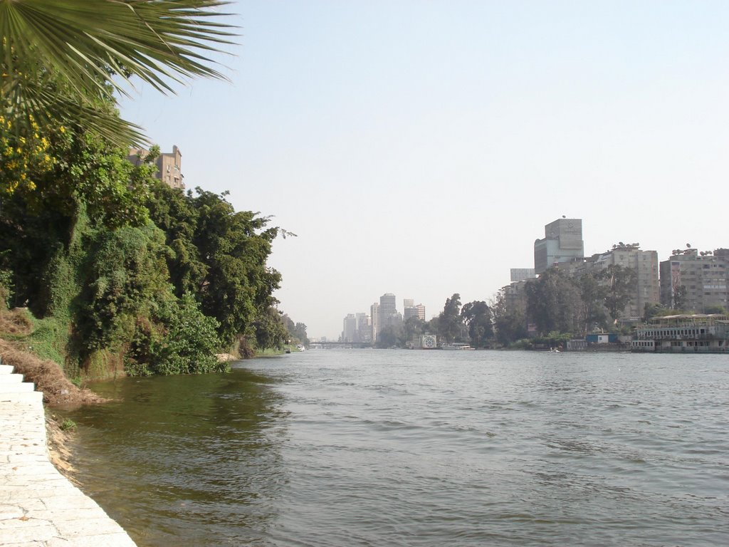 The Nile ( from Al Sawy Culture Wheel ) by Moh. Helal