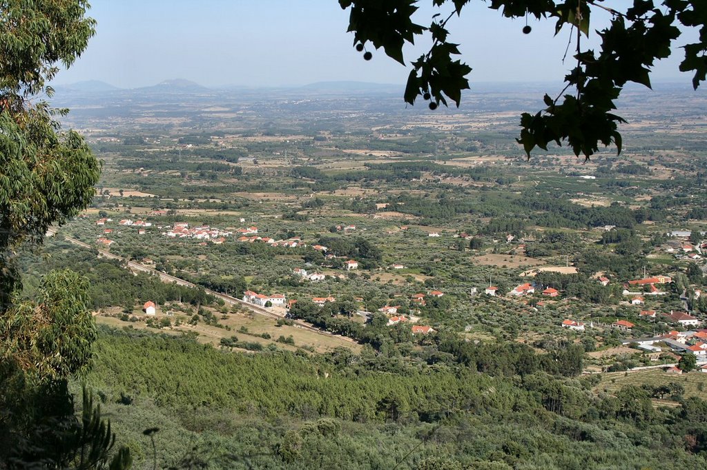 Planície beirã com o monte da aldeia de Monsanto ao fundo by placosta