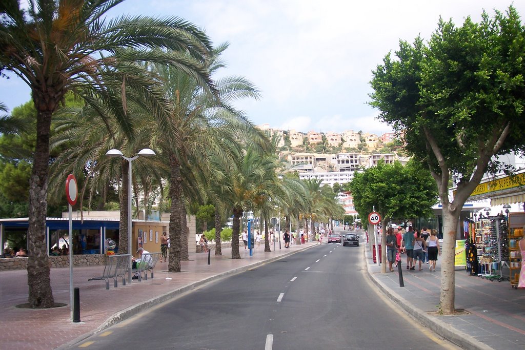 Calvià, Balearic Islands, Spain by elemelas