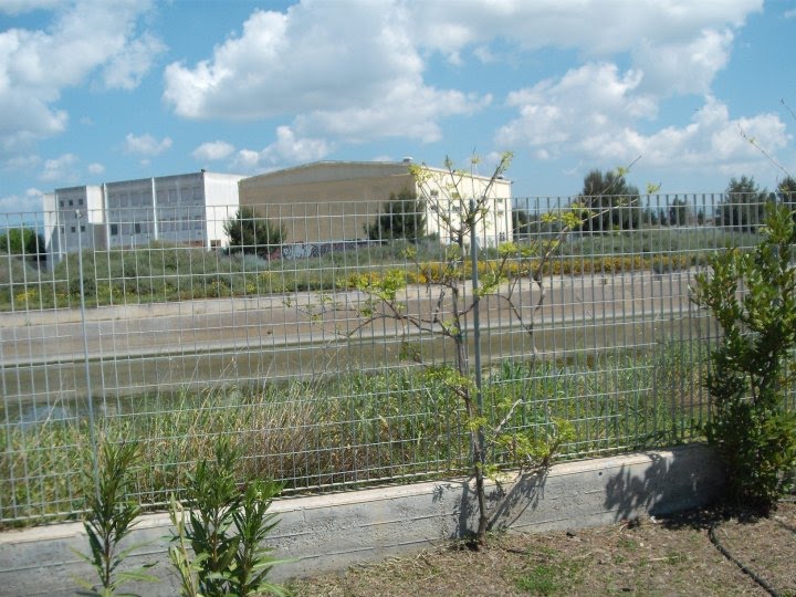 Cagliari, parco Terramaini by Maurizio Virdis