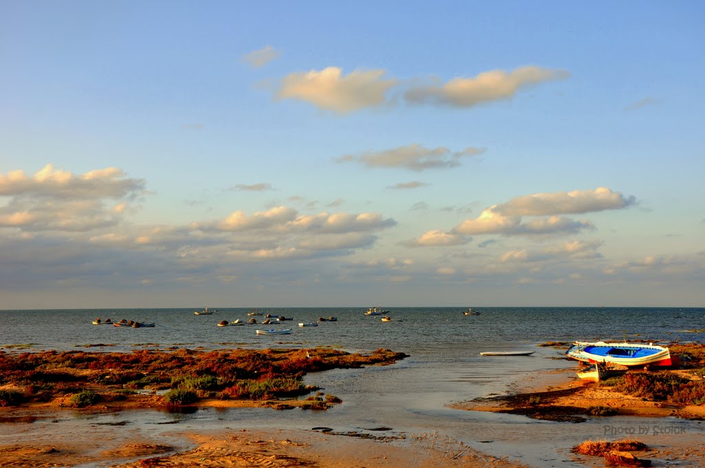 Abends am kleinen Fischerhafen by Eckart u. Annemarie …