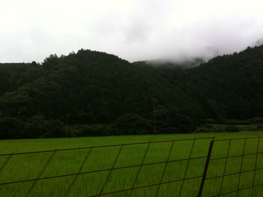 高知県高岡郡四万十町 by iPhone修理/カスタマイズパーツ販売…