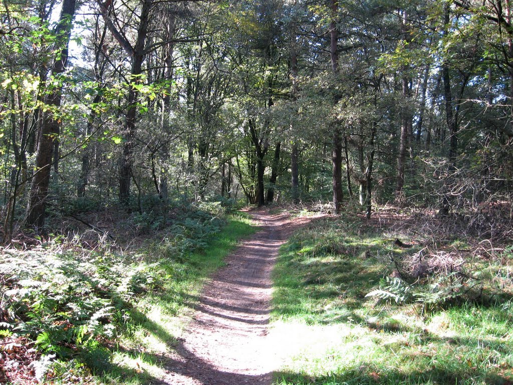 MTB Route Zeddammerbos 5 by Jos Notten