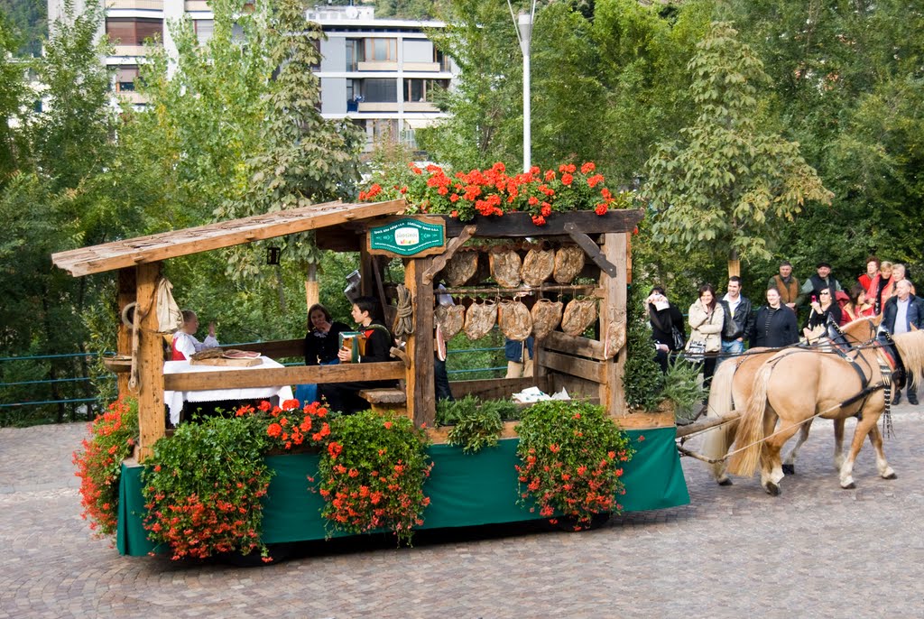 16. Südtiroler Landesmusikfest und Traubenfest Meran by Frank H. aus B.