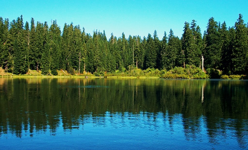 Clear Lake by Chuck Gardner